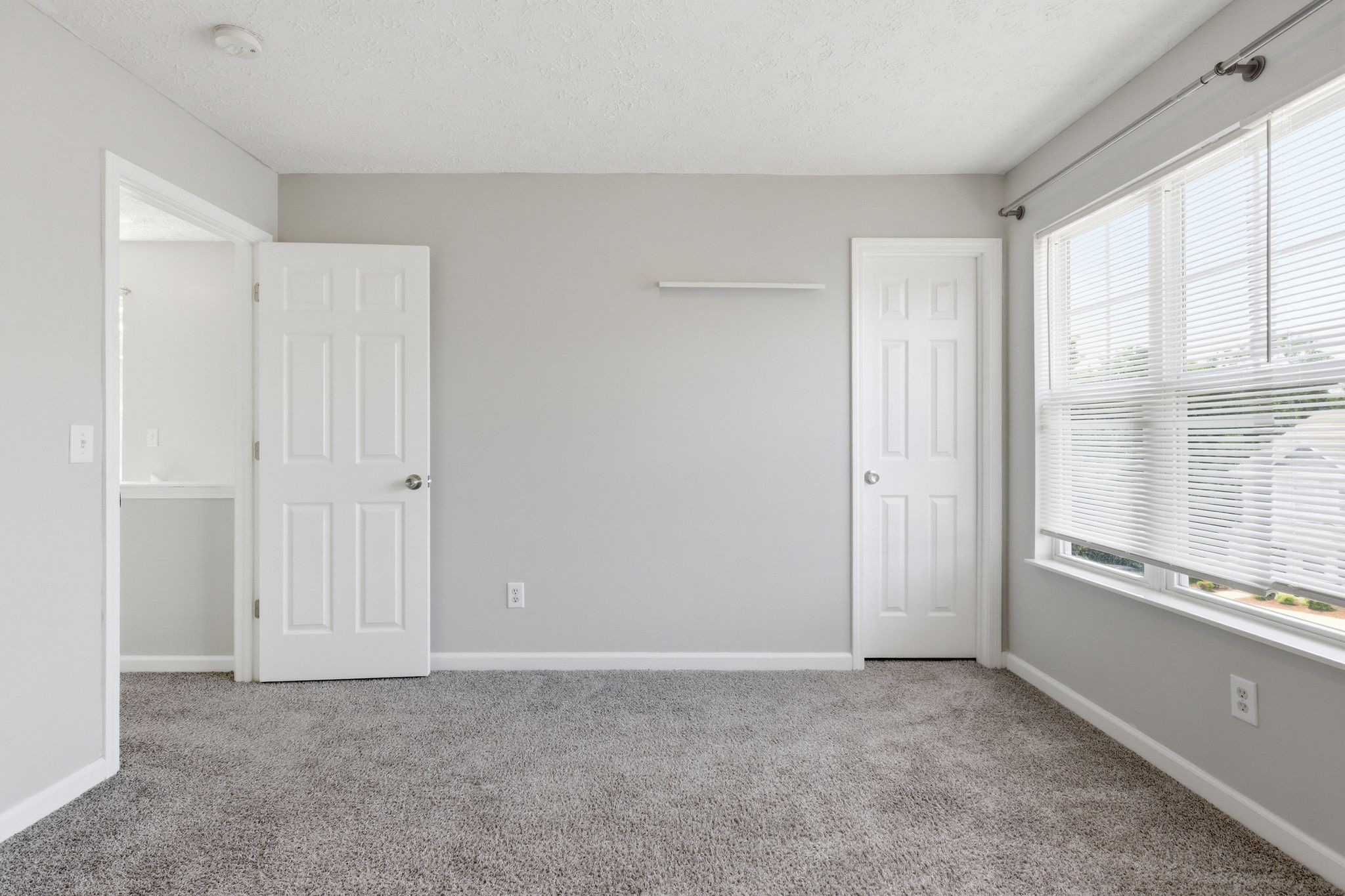 Empty gray bedroom with beige carpet, two white doors, and a large window with blinds on the right side.