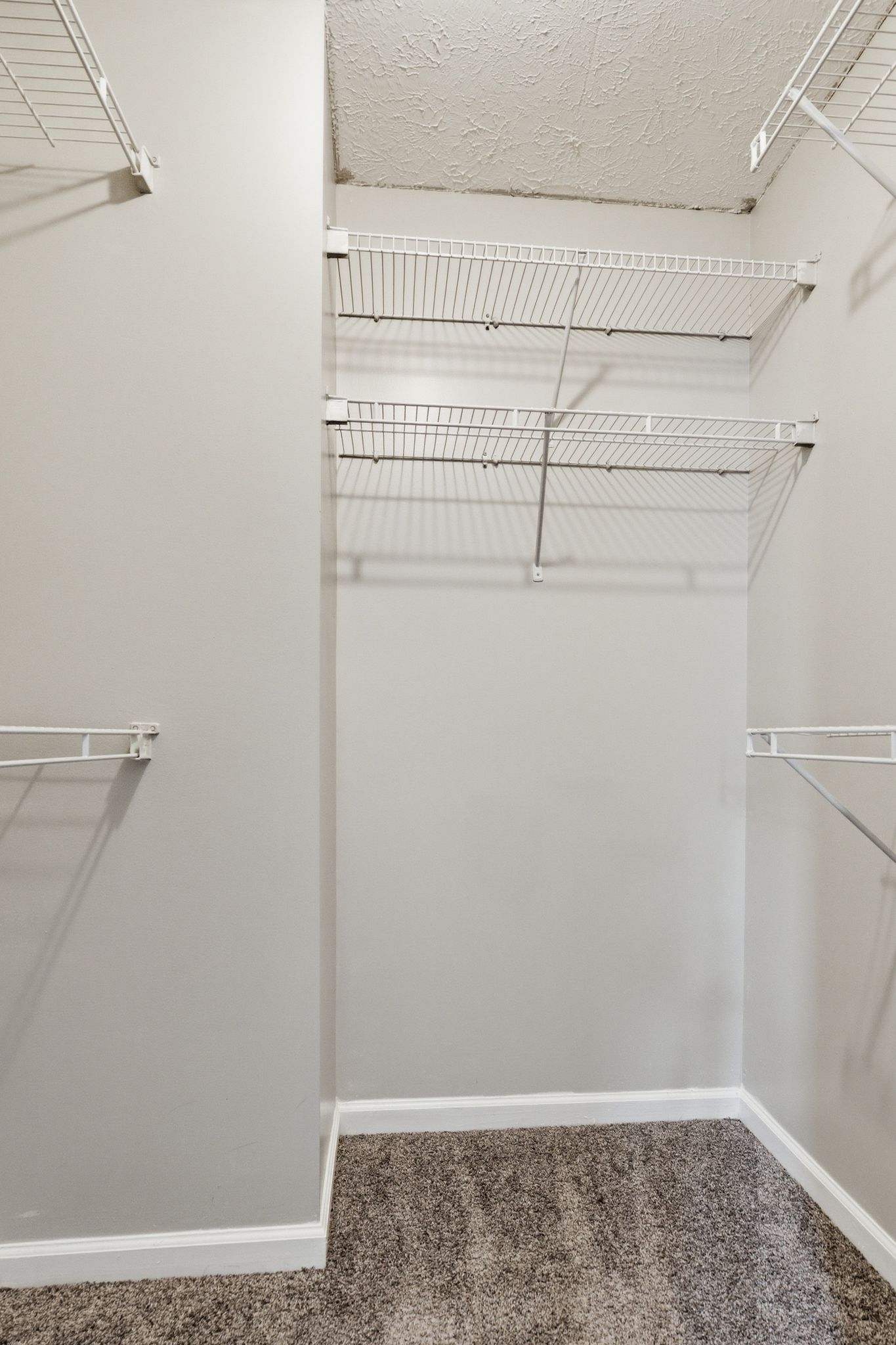 Empty walk-in closet with white wire shelves and beige carpeted floor.