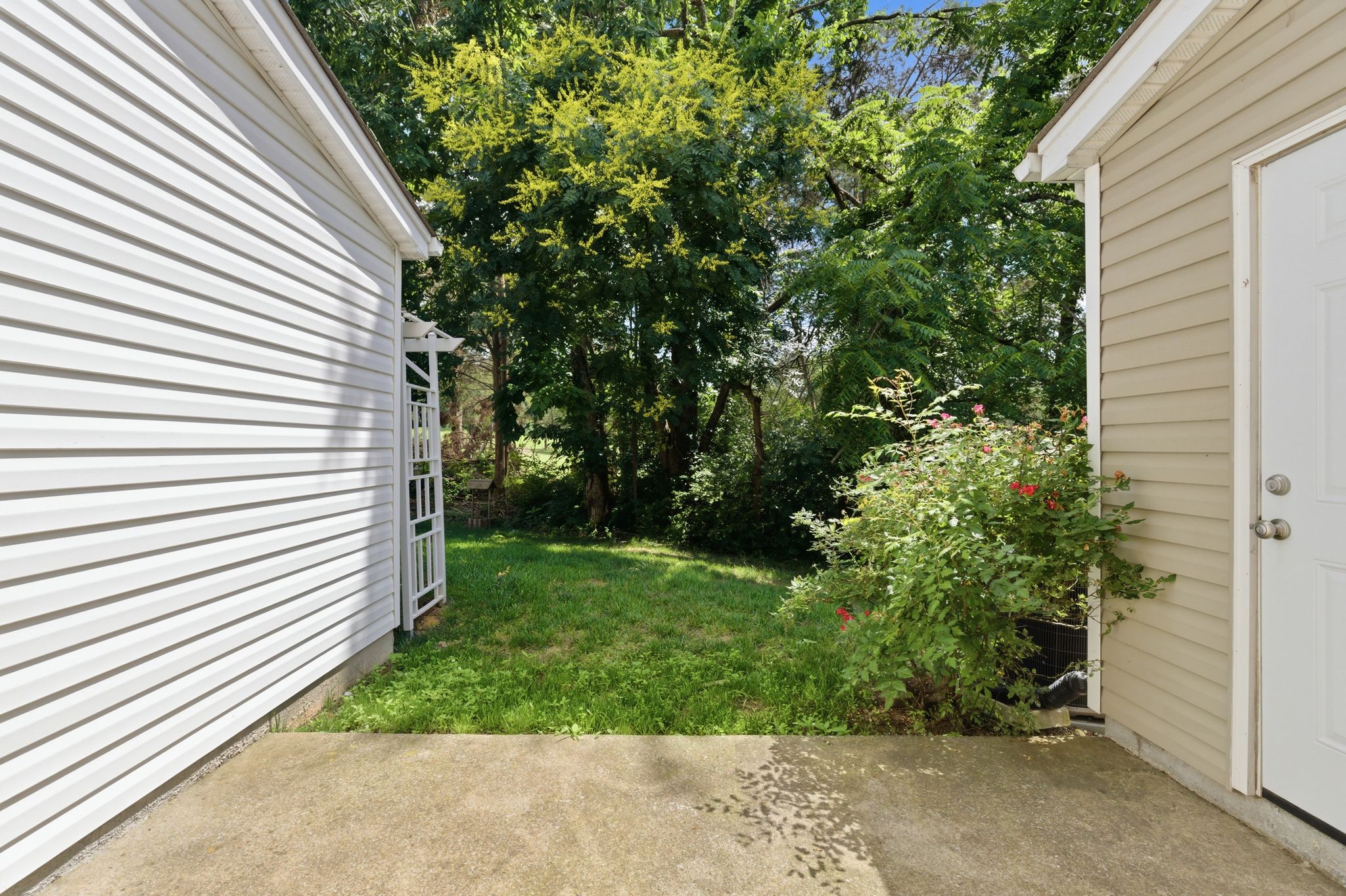 Narrow alley between white and beige house siding with green lawn and trees visible beyond the gap.