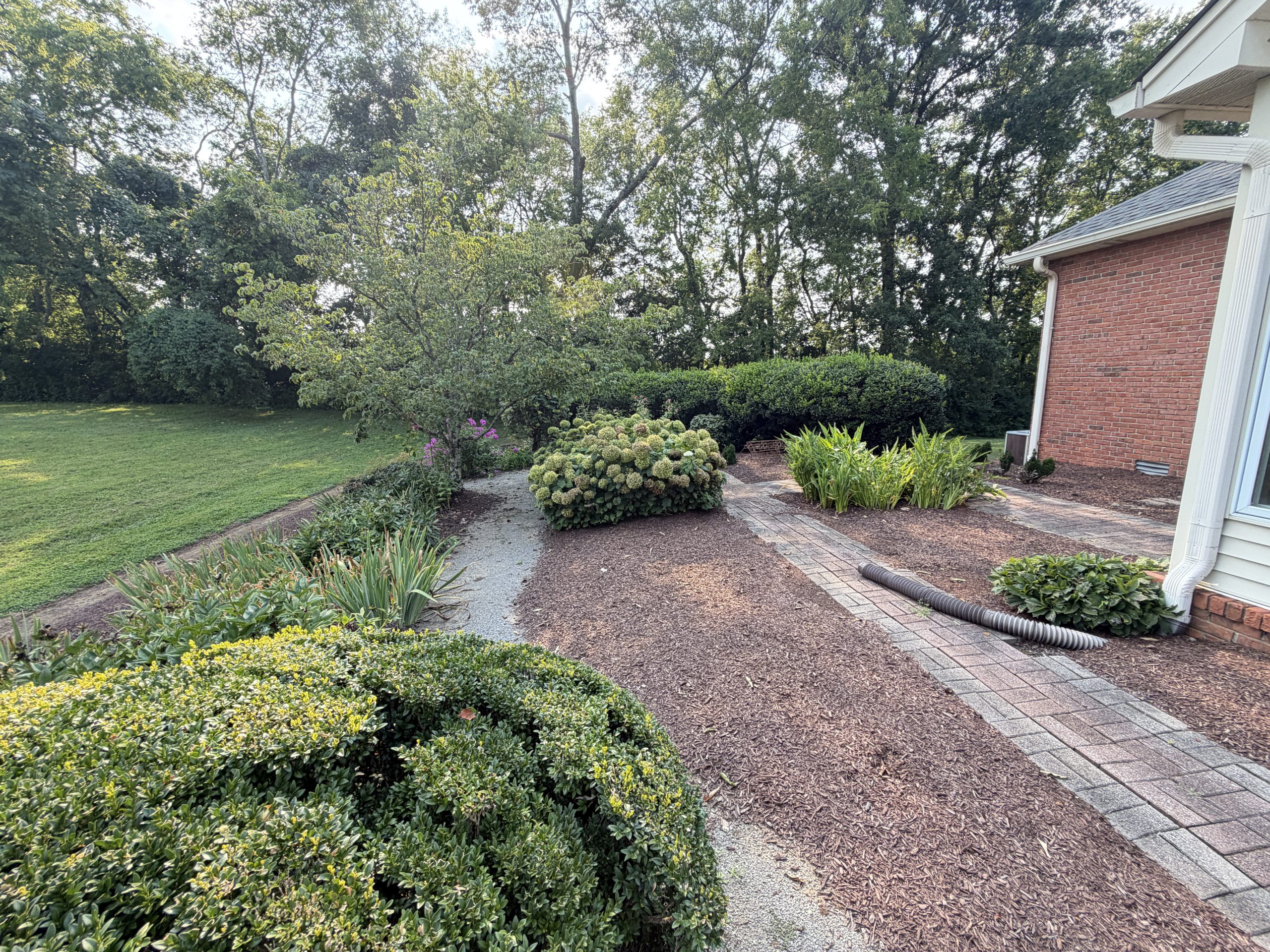 Brick house on the right with white trim, a curved brick walkway, and a variety of shrubs and hydrangeas in a well-kept garden.