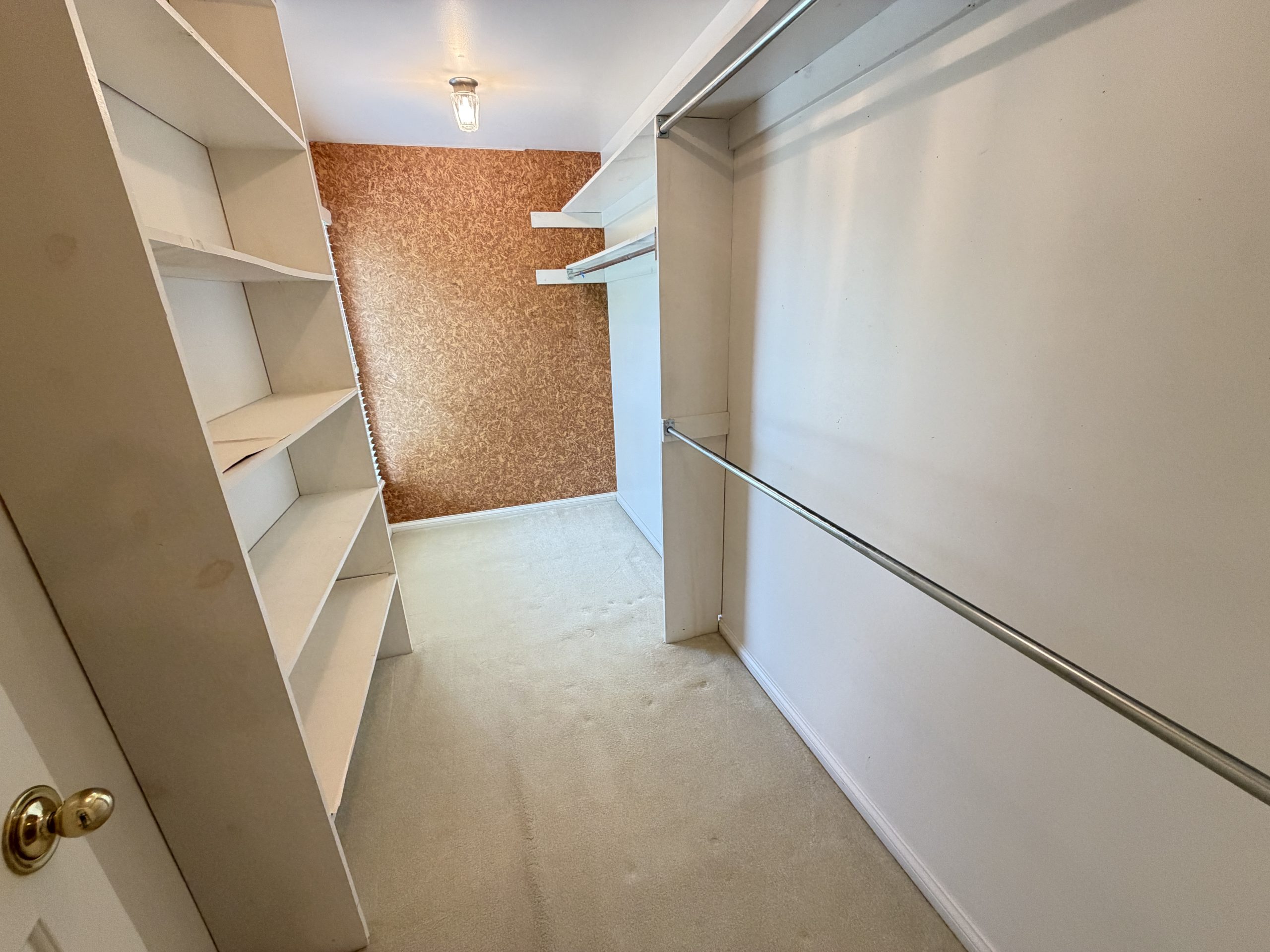 Narrow walk-in closet with white built-in shelves on the left and a metal clothing rod along the right wall; brown textured accent wall at the far end.
